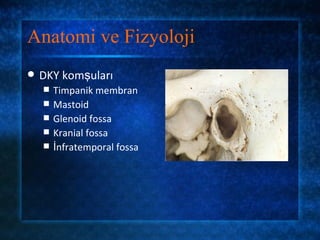 Anatomi ve Fizyoloji
   DKY komşuları
       Timpanik membran
       Mastoid
       Glenoid fossa
       Kranial fossa
       İnfratemporal fossa
 