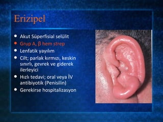 Erizipel
   Akut Süperfisial selülit
   Grup A, β hem strep
   Lenfatik yayılım
   Cilt; parlak kırmızı, keskin
    sınırlı, gevrek ve giderek
    ilerleyici
   Hızlı tedavi; oral veya İV
    antibiyotik (Penisilin)
   Gerekirse hospitalizasyon
 
