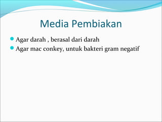 Media Pembiakan
Agar darah , berasal dari darah
Agar mac conkey, untuk bakteri gram negatif
 