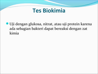 Tes Biokimia
Uji dengan glukosa, nitrat, atau uji protein karena
  ada sebagian bakteri dapat bereaksi dengan zat
  kimia
 