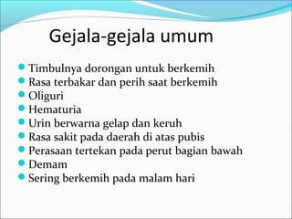 Gejala-gejala umum
Timbulnya dorongan untuk berkemih
Rasa terbakar dan perih saat berkemih
Oliguri
Hematuria
Urin berwarna gelap dan keruh
Rasa sakit pada daerah di atas pubis
Perasaan tertekan pada perut bagian bawah
Demam
Sering berkemih pada malam hari
 