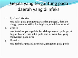 Gejala yang tergantung pada
        daerah yang diinfeksi
1.   Pyelonefritis akut
     rasa sakit pada punggung atas dan panggul, demam
     tinggi, gemetar akibat kedinginan, mual dan muntah
2.   Cystitis
     rasa tertekan pada pelvis, ketidaknyamanan pada perut
     bagian bawah, rasa sakit pada saat urinasi, bau yang
     menyengat pada urin
3.   Uretritis
     rasa terbakar pada saat urinasi, gangguan pada penis
 