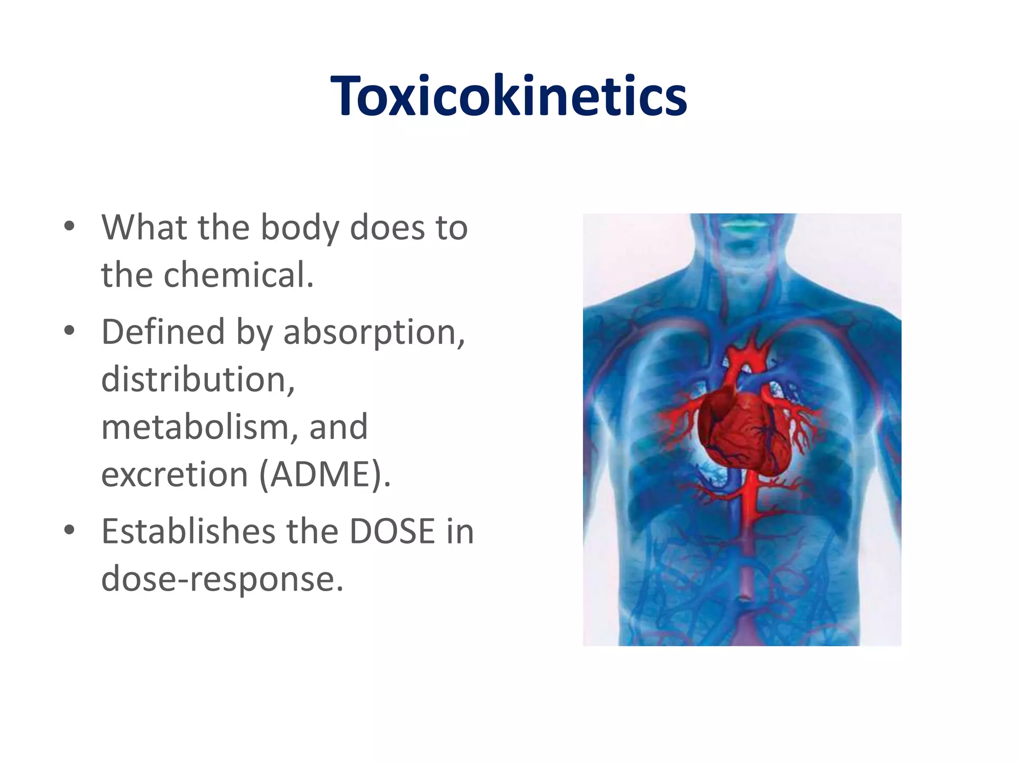 ToxicokineticsWhat the body does to the chemical.Defined by absorption, distribution, metabolism, and excretion (ADME).Establishes the DOSE in dose-response.
