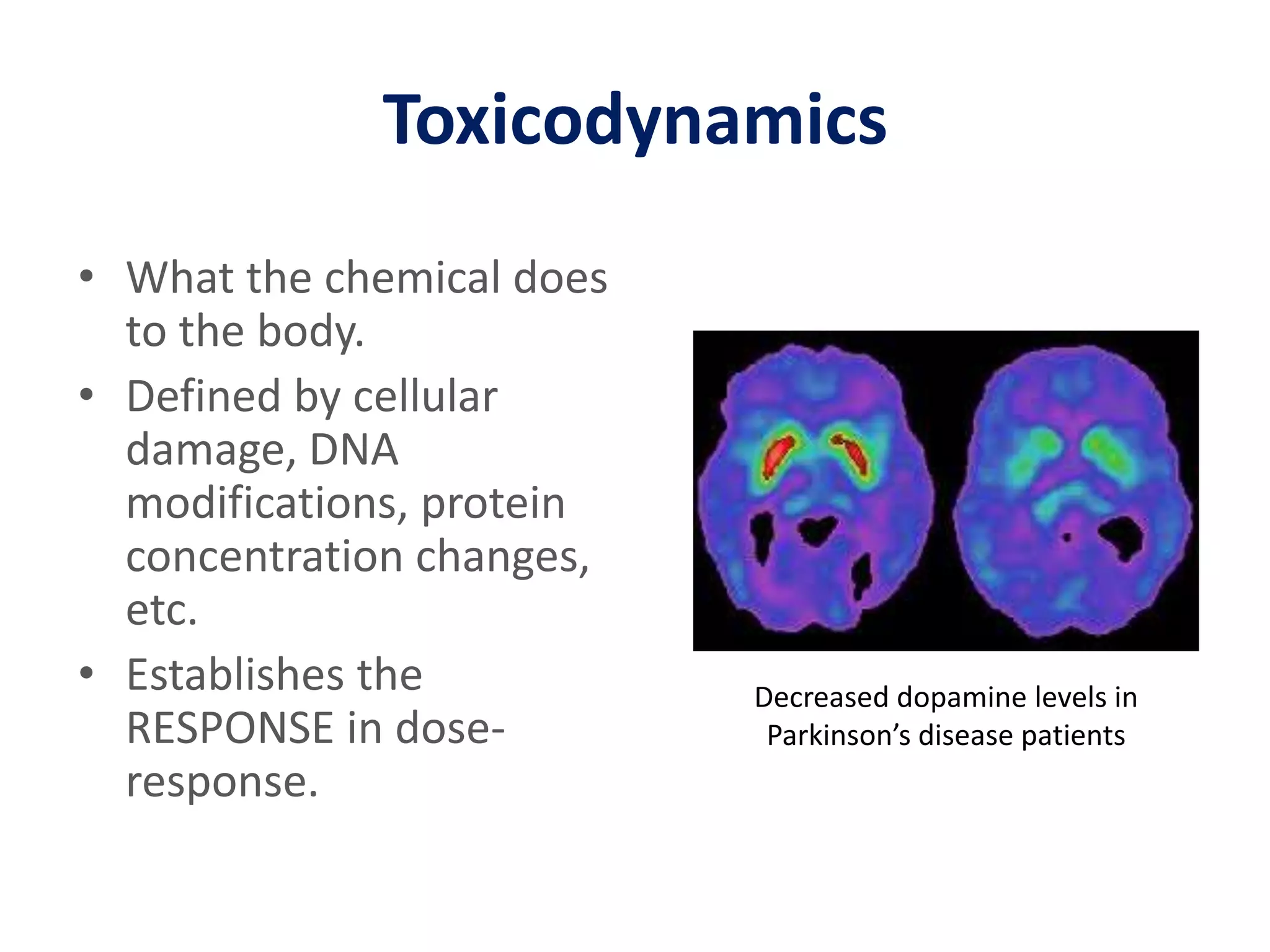 ToxicodynamicsWhat the chemical does to the body.Defined by cellular damage, DNA modifications, protein concentration changes, etc.Establishes the RESPONSE in dose-response.Decreased dopamine levels in Parkinson’s disease patients