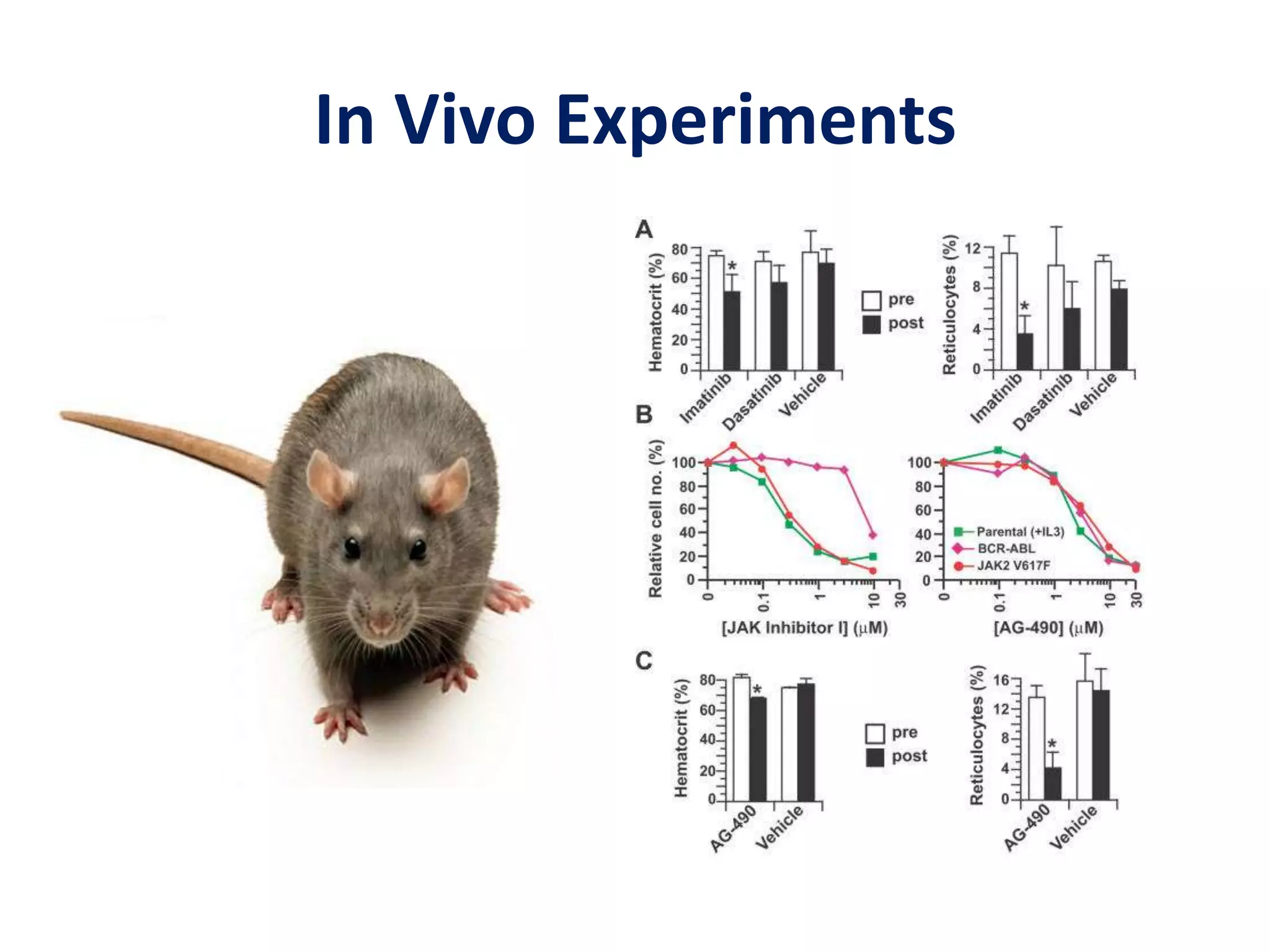 In Vivo Experiments