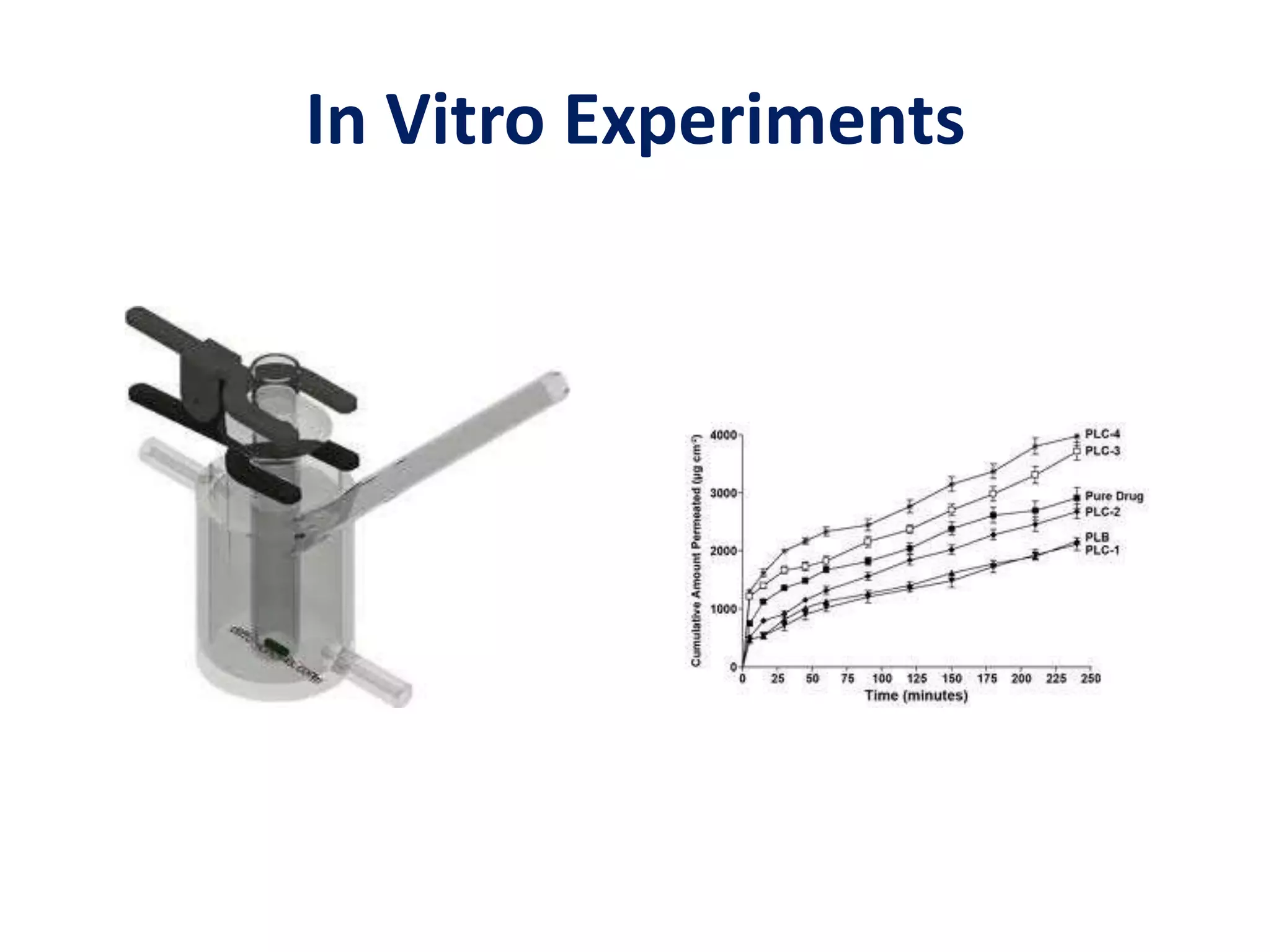 In Vitro Experiments