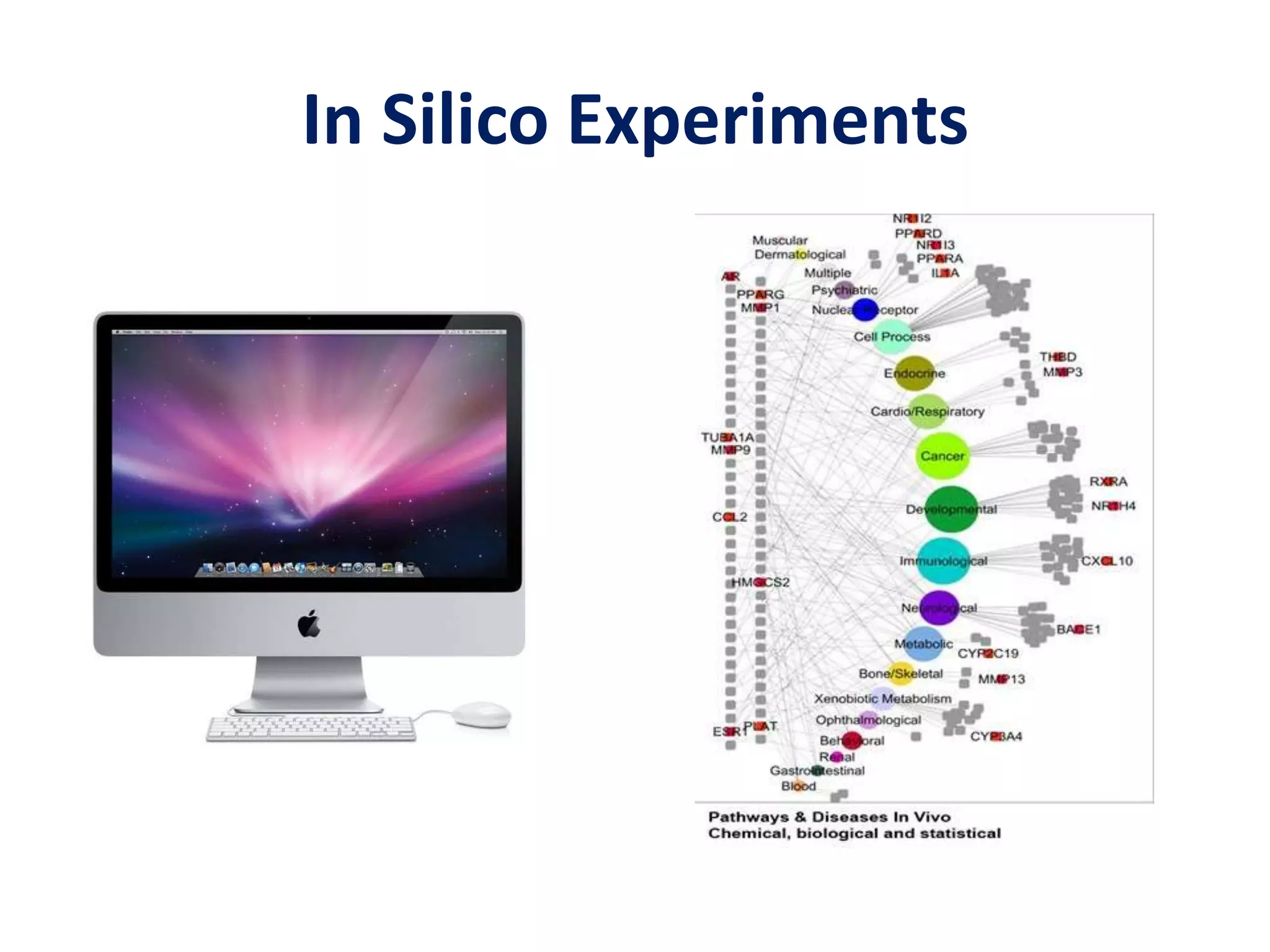 In Silico Experiments