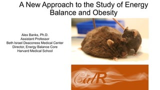 A New Approach to the Study of Energy
Balance and Obesity
Alex Banks, Ph.D.
Assistant Professor
Beth Israel Deaconess Medical Center
Director, Energy Balance Core
Harvard Medical School
 