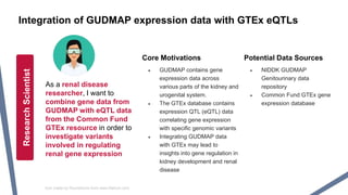 Integration of GUDMAP expression data with GTEx eQTLs
Core Motivations
● GUDMAP contains gene
expression data across
various parts of the kidney and
urogenital system.
● The GTEx database contains
expression QTL (eQTL) data
correlating gene expression
with specific genomic variants
● Integrating GUDMAP data
with GTEx may lead to
insights into gene regulation in
kidney development and renal
disease
Potential Data Sources
● NIDDK GUDMAP
Genitourinary data
repository
● Common Fund GTEx gene
expression database
ResearchScientist
Icon made by Roundicons from www.flaticon.com
As a renal disease
researcher, I want to
combine gene data from
GUDMAP with eQTL data
from the Common Fund
GTEx resource in order to
investigate variants
involved in regulating
renal gene expression
 