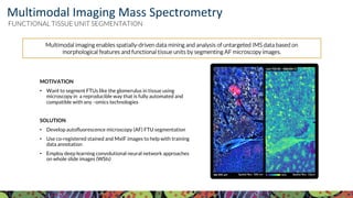 Visit KPMP.org for more information
KIDNEY PRECISION MEDICINE PROJECT
Multimodal Imaging Mass Spectrometry
Multimodal imaging enables spatially-driven data mining and analysis of untargeted IMS data based on
morphological features and functional tissue units by segmenting AF microscopy images.
MOTIVATION
• Want to segment FTUs like the glomerulus in tissue using
microscopy in a reproducible way that is fully automated and
compatible with any –omics technologies
SOLUTION
• Develop autofluorescence microscopy (AF) FTU segmentation
• Use co-registered stained and MxIF images to help with training
data annotation
• Employ deep learning convolutional neural network approaches
on whole slide images (WSIs)
FUNCTIONAL TISSUE UNIT SEGMENTATION
 