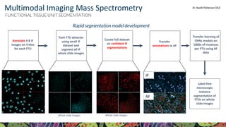 For more information, visit KPMP.org Visit KPMP.org for more information
KIDNEY PRECISION MEDICINE PROJECT
Rapid segmentation model development
Annotate 4-8 IF
images on 4 tiles
for each FTU
Train FTU detector
using small IF
dataset and
segment all IF
whole slide images
Curate full dataset
on confident IF
segmentations
Transfer learning of
CNNs models on
1000s of instances
per FTU using AF
data
Label-free
microscopic
instance
segmentation of
FTUs on whole
slide images
Transfer
annotations to AF
IF
AF
Whole slide images Whole slide images
FUNCTIONAL TISSUE UNIT SEGMENTATION
Multimodal Imaging Mass Spectrometry N. Heath Patterson (VU)
 