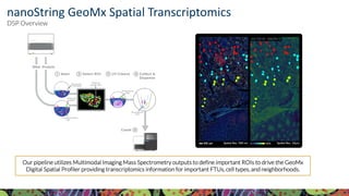 For more information, visit KPMP.org Visit KPMP.org for more information
KIDNEY PRECISION MEDICINE PROJECT
Our pipeline utilizes Multimodal Imaging Mass Spectrometry outputs to define important ROIs to drive the GeoMx
Digital Spatial Profiler providing transcriptomics information for important FTUs, cell types, and neighborhoods.
nanoString GeoMx Spatial Transcriptomics
DSP Overview
 