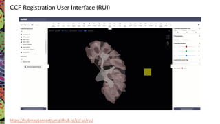 https://hubmapconsortium.github.io/ccf-ui/rui/
CCF Registration User Interface (RUI)
 