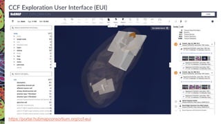 CCF Exploration User Interface (EUI)
https://portal.hubmapconsortium.org/ccf-eui
 