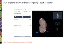 CCF Exploration User Interface (EUI) - Spatial Search
https://portal.hubmapconsortium.org/ccf-eui
 