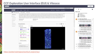 CCF Exploration User Interface (EUI) & Vitessce
https://portal.hubmapconsortium.org/ccf-eui
 