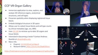 CCF VR Organ Gallery
https://hubmapconsortium.github.io/ccf/pages/ccf-gallery.html
● Immersive application to view, explore, and
analyze 3D reference organs, anatomical
structures, and cell types
● Preserves spatiality when displaying registered tissue
blocks
● Embeds biological structure in 3D space
● Allows user to subset tissue blocks and cell type counts
by clinical metadata (age, sex, BMI)
● Uses CCF API to retrieve up-to-date 3D organs and
tissue blocks
● Interested in becoming a tester? Contact Andreas
Bueckle at abueckle@iu.edu
● More info:
○ Preprint: 10.31219/osf.io/z9gm3
○ Research demo: https://youtu.be/S9pBOlSfsnc
 