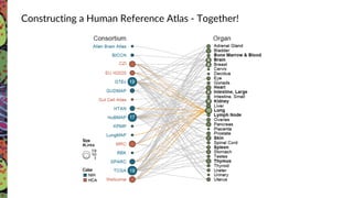 Constructing a Human Reference Atlas - Together!
 