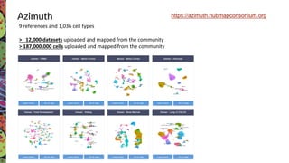 Azimuth
9 references and 1,036 cell types
> 12,000 datasets uploaded and mapped from the community
> 187,000,000 cells uploaded and mapped from the community
https://azimuth.hubmapconsortium.org
 
