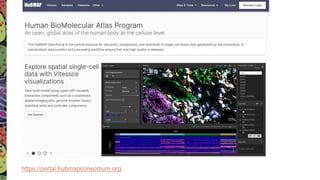 https://portal.hubmapconsortium.org
 