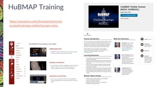 https://expand.iu.edu/browse/sice/cns/c
ourses/hubmap-visible-human-mooc
HuBMAP Training
 