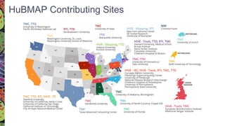 HuBMAP Contributing Sites
 