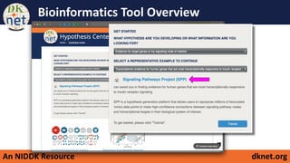 An NIDDK Resource dknet.org
Bioinformatics Tool Overview
 