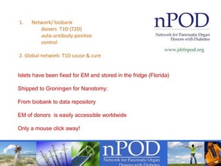 1. Network/ biobank
donors T1D (T2D)
auto-antibody positive
control
2. Global network: T1D cause & cure
Islets have been fixed for EM and stored in the fridge (Florida)
Shipped to Groningen for Nanotomy:
From biobank to data repository
EM of donors is easily accessible worldwide
Only a mouse click away!
 