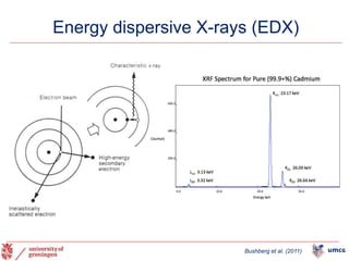 15
Bushberg et al. (2011)
Energy dispersive X-rays (EDX)
 