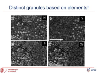 Distinct granules based on elements!
23
 