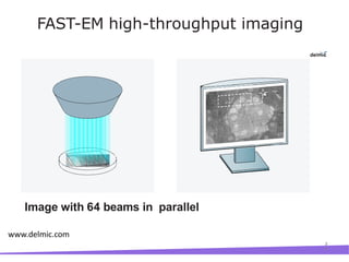Image with 64 beams in parallel
3
4
FAST-EM high-throughput imaging
www.delmic.com
 