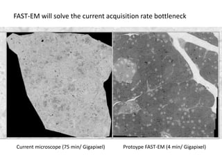 Current microscope (75 min/ Gigapixel) Protoype FAST-EM (4 min/ Gigapixel)
FAST-EM will solve the current acquisition rate bottleneck
 