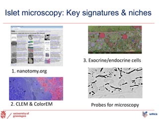 2. CLEM & ColorEM
1. nanotomy.org
3. Exocrine/endocrine cells
Probes for microscopy
Islet microscopy: Key signatures & niches
 