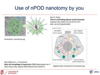 Use of nPOD nanotomy by you
Bart O. Roep
There Is Something About Insulin Granules
Diabetes Dec 2020, 69 (12) 2575-2577
DOI: 10.2337/dbi20-0039
Muralidharan (…) Linnemann
Beta cell autophagy is impaired in T1D Diabetologia Jan 31
2021 https://doi.org/10.1007/s00125-021-05387-6
Illustration: nanotomy.org
Applied data mining from nanotomy.org
 
