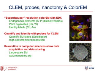 CLEM, probes, nanotomy & ColorEM
“Superdepuper” resolution colorEM with EDX
Endogenous elements (S; P; distinct vesicles)
Paint organelles (Os, W)
Identify labels (Cd, Au)
Quantify and identify with probes for CLEM
Quantify EM-labels (Golddigger)
High spatiotemporal resolution
Revolution in computer sciences allow data
acquisition and data sharing
Large-scale EM
www.nanotomy.org
Science
(2006)
 