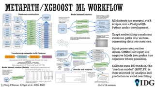All datasets are merged, via R
scripts, into a PostgreSQL.
Python under development.
Graph embedding transforms
evidence paths into vectors,
converting data into matrices.
Input genes are positive
labels. OMIM (not input) are
negative labels (we prefer true
negatives where possible).
XGBoost runs 100 models.The
“median model” (AUC, F1) is
then selected for analysis and
prediction to avoid overfitting.
10/15/19 revisionJ.J.Yang, P. Kumar, D. Byrd et al., IDG2 KMC
 