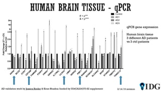 A
K
N
A
B
C
O
2
C
C
N
Y
C
R
TA
M
FA
M
92B
FO
XP4
FR
R
S1
G
R
IN
2C
IL17R
EL
LILR
A
3
LM
04
N
D
R
G
2
PIB
F1
R
A
B
40A
SC
G
B
3A
1
SLC
44A
2
SPO
P
STA
R
D
3
TM
EFF2
TXN
D
C
12
0.0
0.5
1.0
1.5
2.0
2.5
8
16
24
FoldChange(2^-∆∆Ct)
RelativetoCtrl
Control
AD1
AD2
AD3
***
**
*
&
**
**
& **
&
&
**
*
*
*
**
&#
*
**
#
**
*
*
**
#
#
&
&
&
&
&
&
#
#
&
&
#
#
**
**
& #
#
**
**
# = p***
& = p****
2/14/19 revisionAD validation work by Jessica Binder & Kiran Bhaskar,funded by U24CA224370-S2 supplement
qPCR gene expression
Human brain tissue
3 different AD patients
vs 3 ctrl patients
 