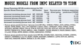 Mouse Phenotype MP-ML models relevant for T2D
Specific Mouse Phenotype MP Number Input
Genes
Top score pre-
dicted genes
Evidence supporting
predictions (GWAS)
abnormal circulating glucose level MP_ 0000188 155 98 7 (4)
abnormal circulating insulin level MP_ 0001560 76 100 21 (5)
abnormal glucose tolerance MP_ 0005291 146 100 12 (2)
increased circulating glucose level MP_ 0005559 78 98 19 (5)
decreased circulating glucose level MP_ 0005560 63 98 7 (4)
 Human genes predicted from *glucose level MP-MLs: COX4I2, FOXQ1, DCD, APELA, FCRL3,
PALM2, OSTN, NXNL1,TLL1, PYY, MAP3K14, EDIL3, DISC1, EPM2AIP1, PSD3, GFRA2, DDR2,
ST3GAL3, MTURN, USP54, CPT1B,TYW1B, UGT1A5, UGT1A8, UGT1A3, UGT1A9, PPP1R15B,
NUFIP2,TMEM167A, ITGA9, MRPL51, GBA, FOXRED1, DDIAS, BHLHA15, NAGS, RBM20, GKN1,
C1orf43,TPGS2, MTPN, BEND3, CPEB3, ARHGAP40, CYSTM1
 Human genes predicted from insulin level MP-ML: COQ8B,VAX1, SLC47A2, CCSER1, CMYA5,
DNAH17, MTRNR2L12, IL17C, NLRP7, NLRP6, RASGRF2, ANKRD31, LAYN, UGT1A6, AMY2A,
FAM19A2, FAM209B, RBM44, RNASE10, IL17RC, RLN2
3/28/19 revision
 