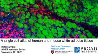 A single cell atlas of human and mouse white adipose tissue
Margo Emont
dkNET Webinar Series
November 17, 2023
 
