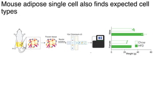dkNET Webinar: A Single Cell Atlas of Human and Mouse White Adipose ...