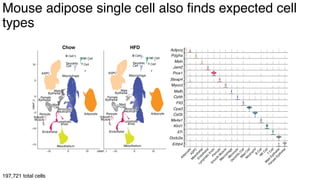 dkNET Webinar: A Single Cell Atlas of Human and Mouse White Adipose ...
