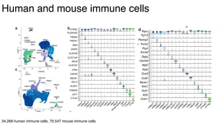 dkNET Webinar: A Single Cell Atlas of Human and Mouse White Adipose ...