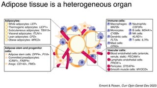 dkNET Webinar: A Single Cell Atlas of Human and Mouse White Adipose ...
