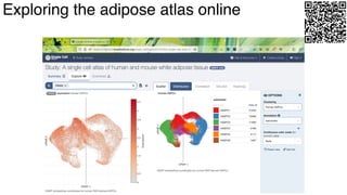 dkNET Webinar: A Single Cell Atlas of Human and Mouse White Adipose ...