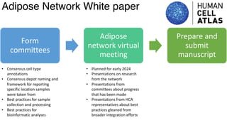 dkNET Webinar: A Single Cell Atlas of Human and Mouse White Adipose ...