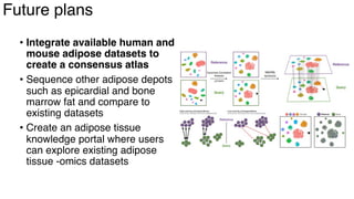 dkNET Webinar: A Single Cell Atlas of Human and Mouse White Adipose ...