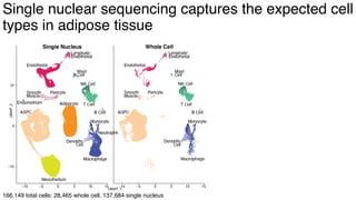 dkNET Webinar: A Single Cell Atlas of Human and Mouse White Adipose ...
