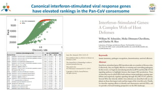 Canonical interferon-stimulated viral response genes
have elevated rankings in the Pan-CoV consensome
 