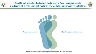 Node consensome CoV infection consensome
Overlap significantly different from random (OR = > 1, p < 0.05)
Significant overlap between node and a CoV consensome is
evidence of a role for that node in the cellular response to infection
 