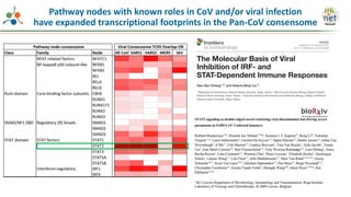 Pathway nodes with known roles in CoV and/or viral infection
have expanded transcriptional footprints in the Pan-CoV consensome
 